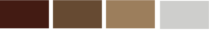 Asset 1